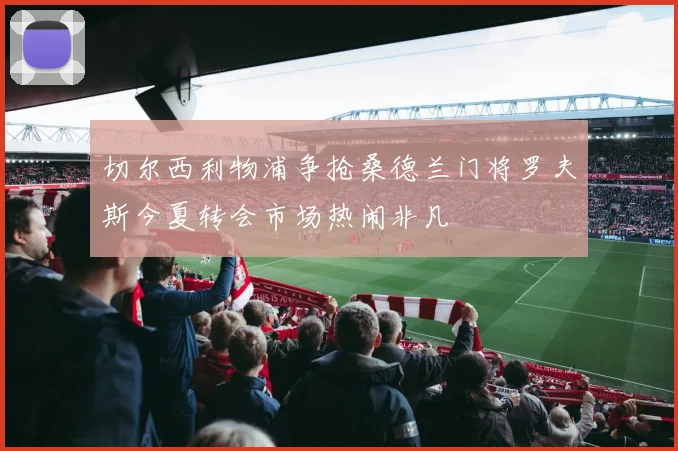 切尔西利物浦争抢桑德兰门将罗夫斯今夏转会市场热闹非凡